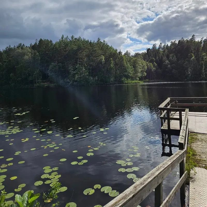 Brygga ut i en sjö under molnig himmel