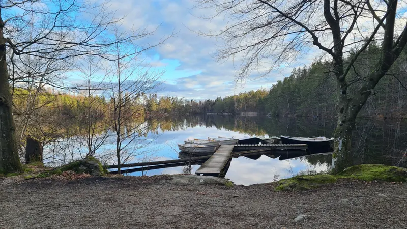 Båtar vid en brygga en tidig vårmorgon