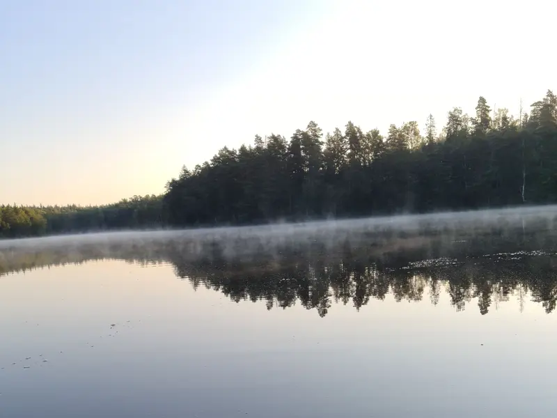 Morgondimma över en blank skogssjö