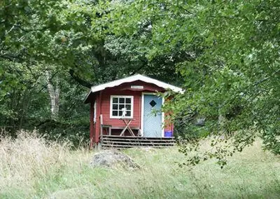 Liten röd stuga i högt gräs vid skogskanten