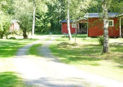 Grusväg genom stugbyn med röda stugor bland björkar